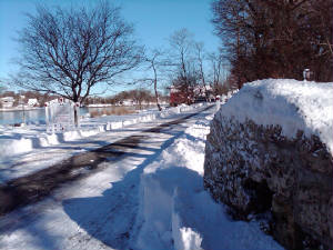 winter2011jpg.jpg
